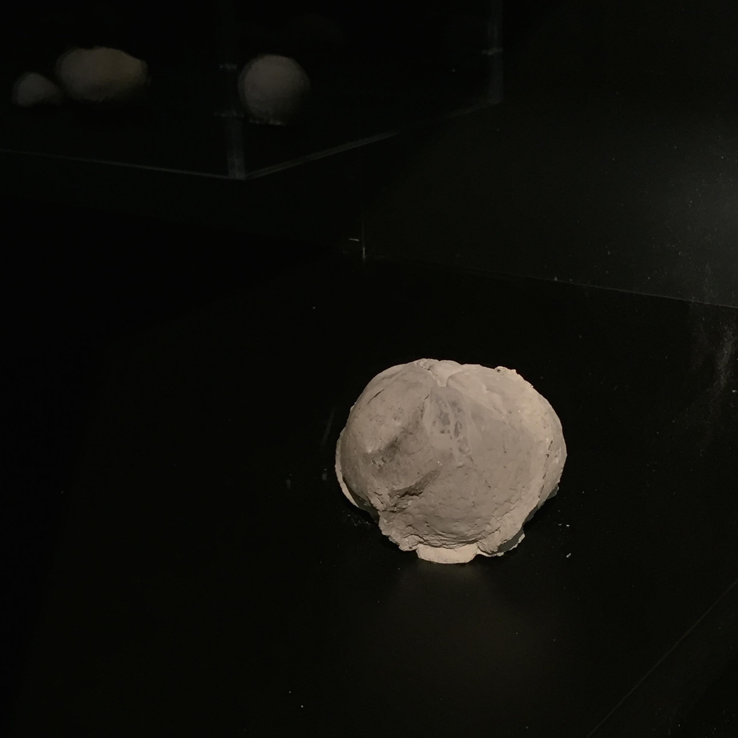 Pauline Bazignan Pauline Bazignan