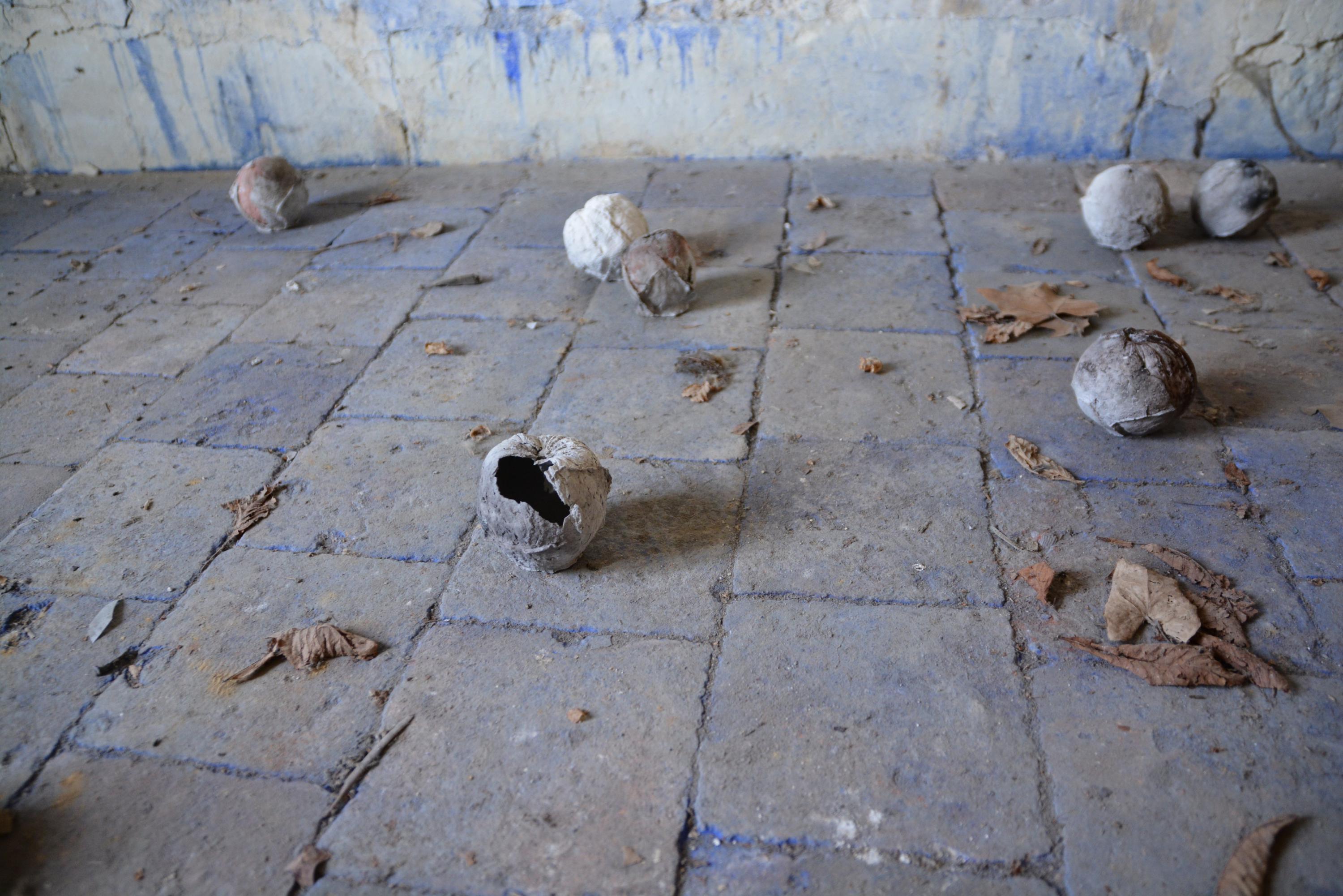 Pauline Bazignan les Moulins de Paillard Pauline Bazignan les Moulins de Paillard